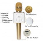 Wholesale Karaoke Microphone Portable Handheld Bluetooth Speaker KTV (Champagne Gold)